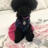 debbiehookssouthe - @debbiehookssouthe - TikTok