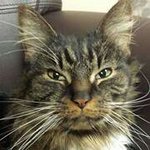Debbie Horne Hopkins - @hoppy465 - Instagram