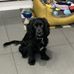 Debbie Howes - Facebook