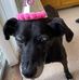 Debbie Howes - Facebook