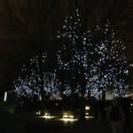 Debbie Humphries - @debhump62 - Instagram