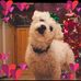 Debbie Humphries - Facebook