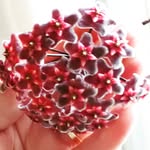 Debbie Humphries McGuire - @custom_nails_by_debbie - Instagram