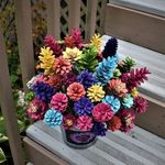 Debbie Ivie - @ivie.debbie - Instagram