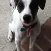 debbiejagodzinski1 - @debbiejagodzinski1 - TikTok
