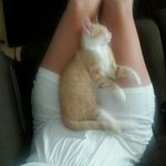 Debbie Jansen - @debbie.jansen.73 - Instagram
