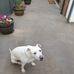 Debbie Jansen - Facebook