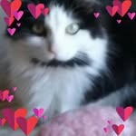 Debbie Jepsen - @daj101052 - Instagram