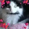 Debbie Jepsen - @debbie.jepsen - TikTok