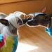 Debbie Dery Kagan - Facebook