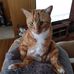 Debbie Kash - Facebook