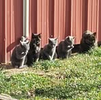 Debbie Kearns - Facebook