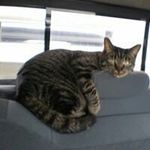 Debbie Kearns - @kearnsd - Instagram