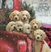Debbie Keeling - Facebook