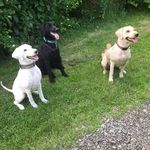 Debbie Keeling - @debbie.keeling.58 - Instagram