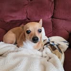 Debbie Keene - Facebook