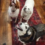 Debbie Keeney - @debbie.keeney_ - Instagram
