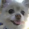 debbiekeithley810 - @debbiekeithley810 - TikTok