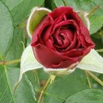 Debbie Courtney Keyes - @debcourtkeyes - Instagram