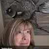 Debbie Kluge - @debbie.kluge - TikTok
