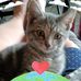 Debbie Kluge Vanamberg - Facebook