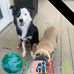 Debbie Knight - Facebook
