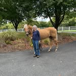 Debbie Koehler - @koehler1840 - Instagram
