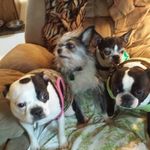 Debbie Kohler - @debbak76 - Instagram