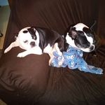 Debbie Kohler - @debbie.kohler.560 - Instagram