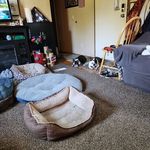 Debbie Kohler - @debbak_76 - Instagram