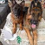 Debbie Kwiatkowski Beyer - @smvba2003 - Instagram