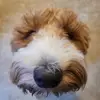 Debbie Lacy - @debbielacy_24 - TikTok