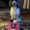 Debbie  Fladd - @debbie.fladd - TikTok