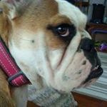 Debbie Ladd - @ladd469 - Instagram