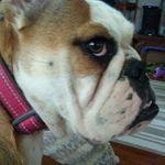 Debbie Ladd - @ladd1860 - Instagram