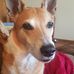 Debbie Ladd - Facebook
