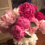 Debbie Ladd - @debbieladd53 - Instagram