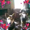 Debbie Laney946 - @debbielaney2 - TikTok