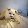 Debbie Laney - @debbie.laney0 - TikTok
