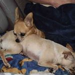 Debbie Laney - @debbie.laney.3597 - Instagram