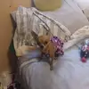 Debbie Laney - @debbie.laney47 - TikTok