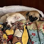 Debbie Lantz - @deblantz1979 - Instagram