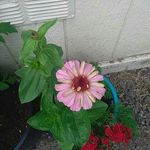 Debbie Larry - @de.bbie902 - Instagram