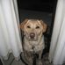 Deb Lausch - Facebook