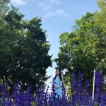 Debbie Law - @debbie_l.l.l - Instagram