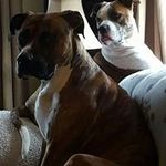 Debbie Leblanc - @debleb66 - Instagram