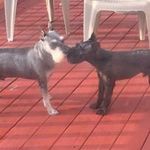 Debbie Levy - @debbie.levy.71 - Instagram