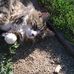 Debbie Lieberman - Facebook