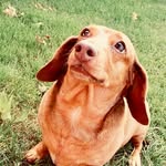 Debbie Lilly - @debbie.lilly.144 - Instagram