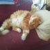 Debbie Linder - Facebook
